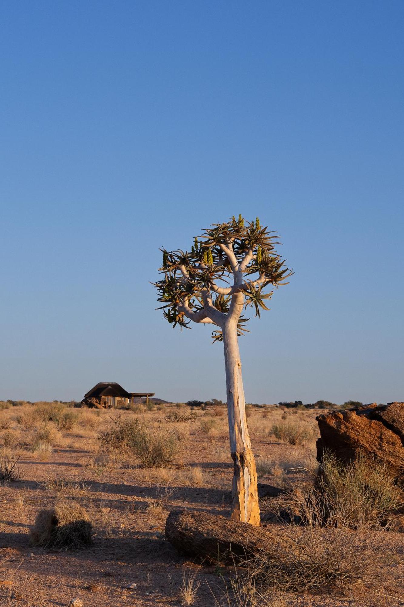 Sandfontein Lodge & Nature Reserve Экстерьер фото