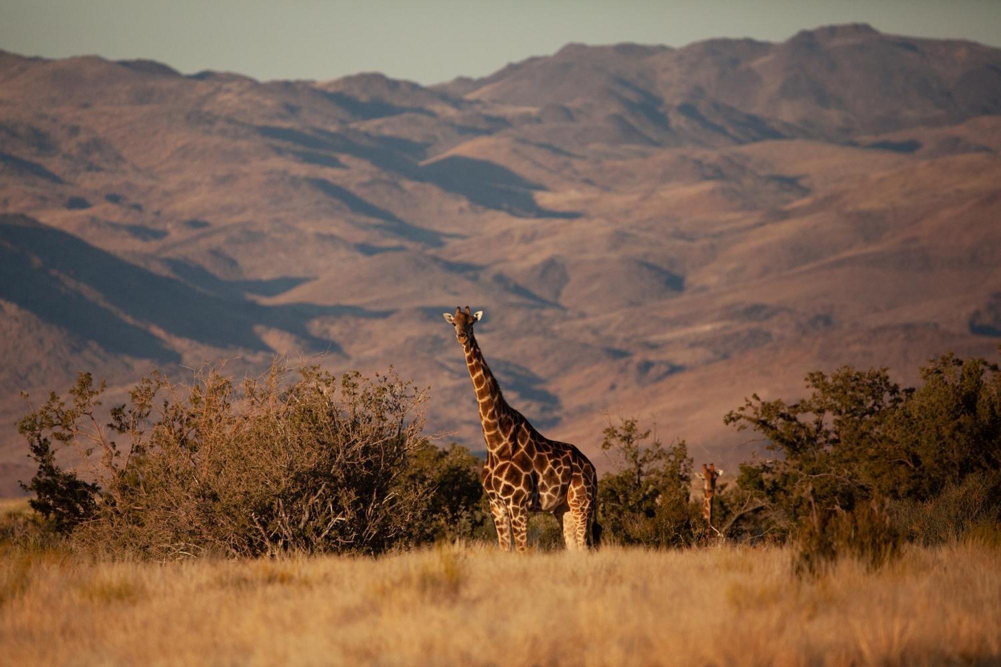 Sandfontein Lodge & Nature Reserve Экстерьер фото