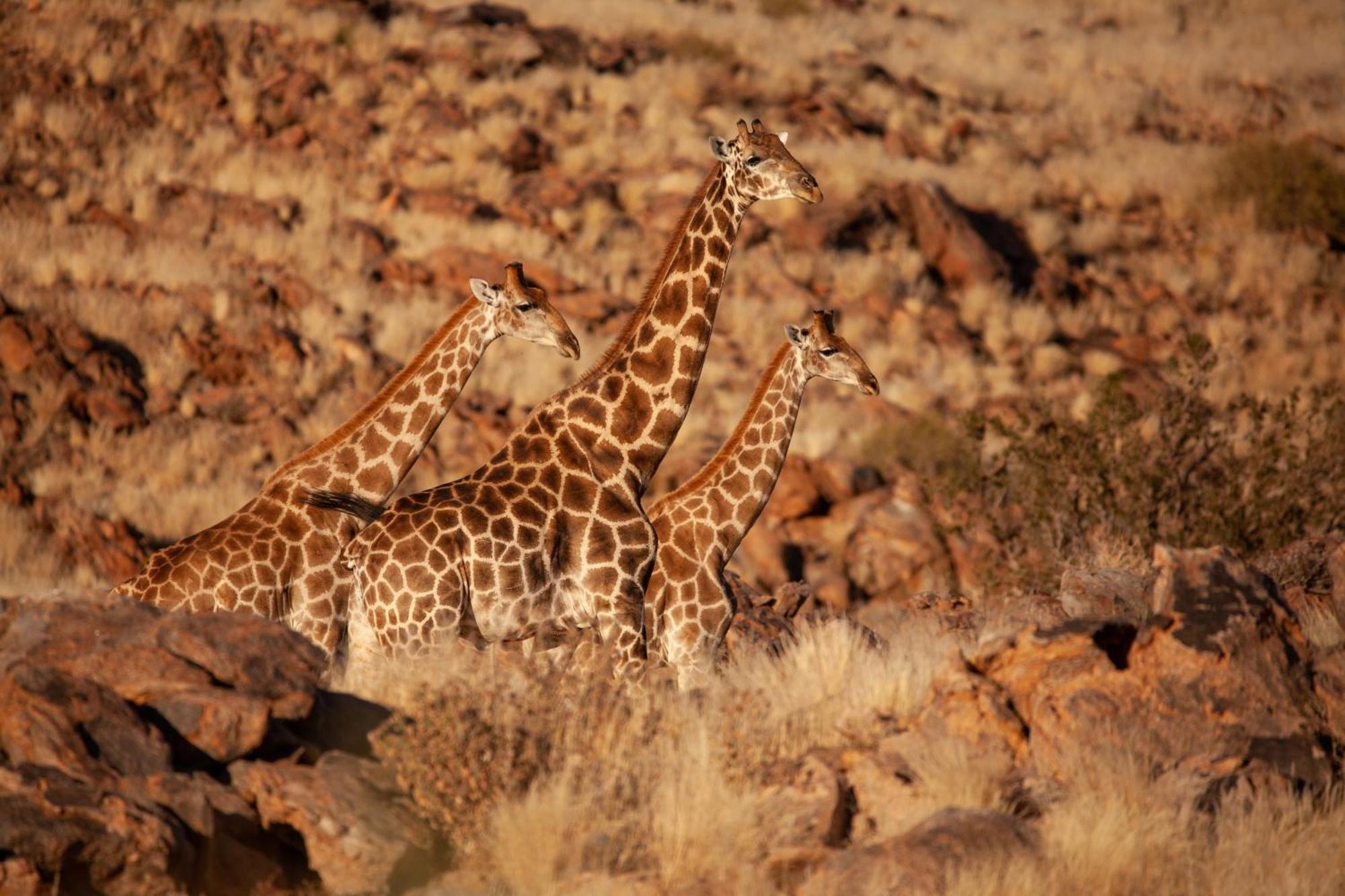 Sandfontein Lodge & Nature Reserve Экстерьер фото