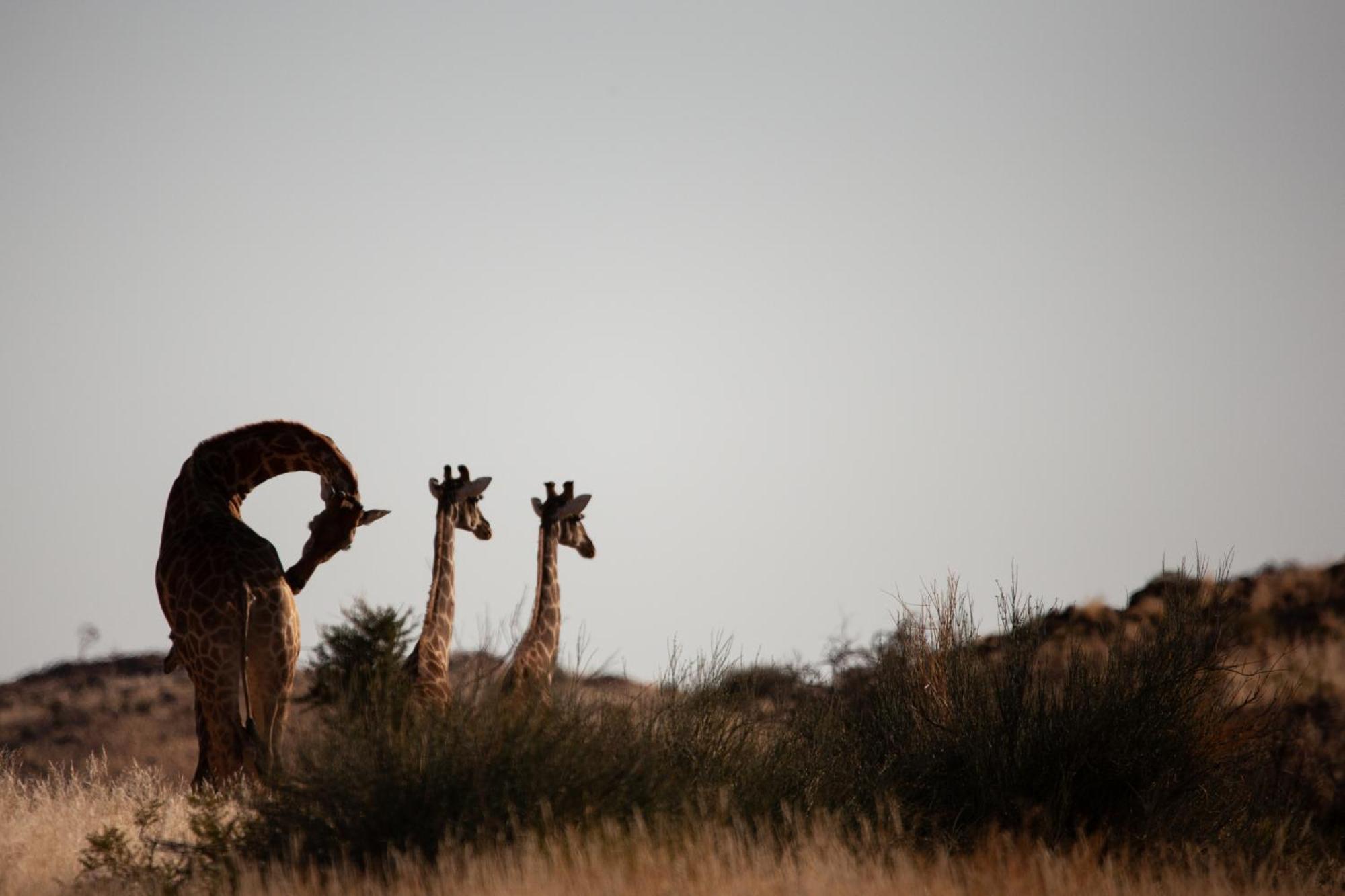 Sandfontein Lodge & Nature Reserve Экстерьер фото
