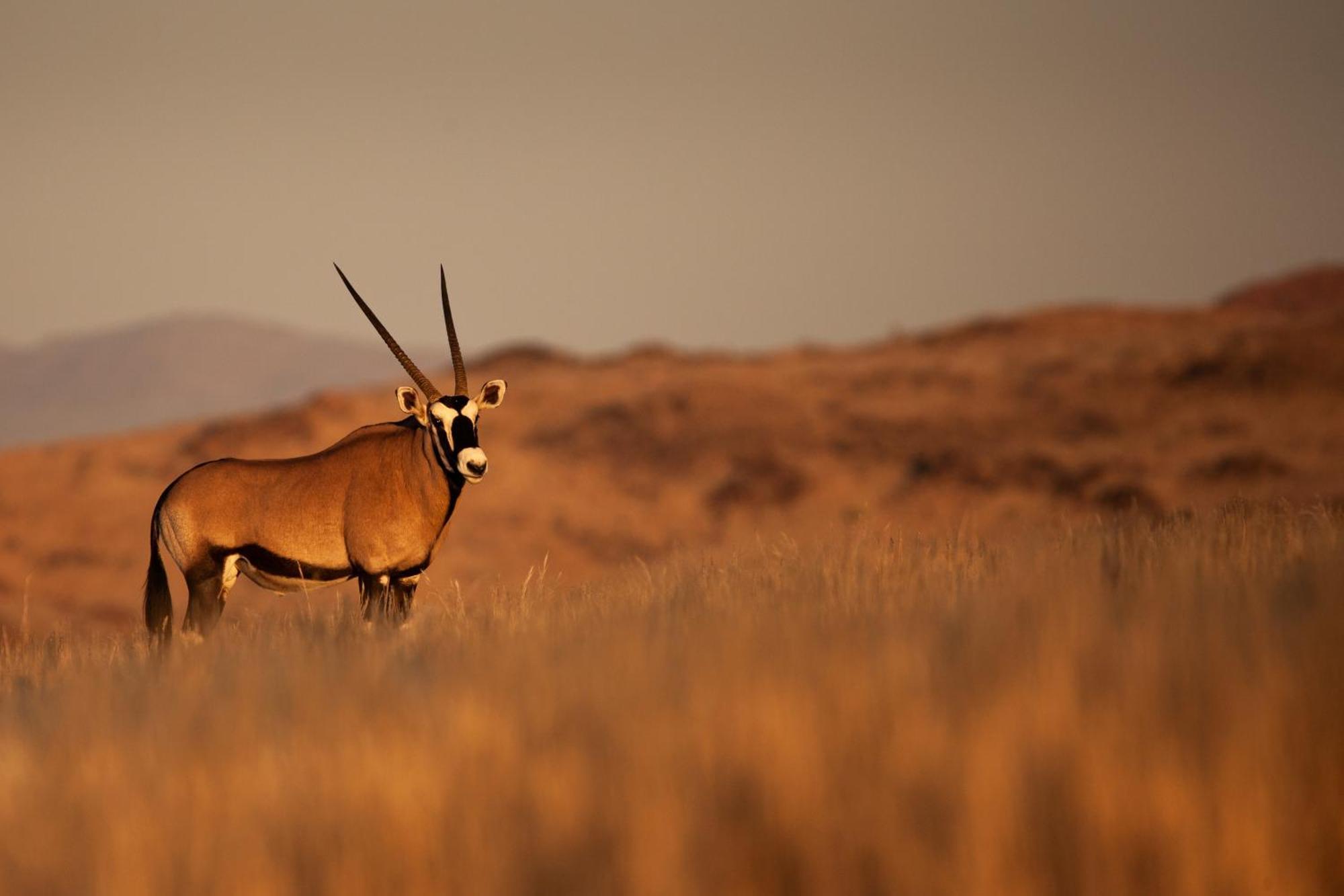 Sandfontein Lodge & Nature Reserve Экстерьер фото